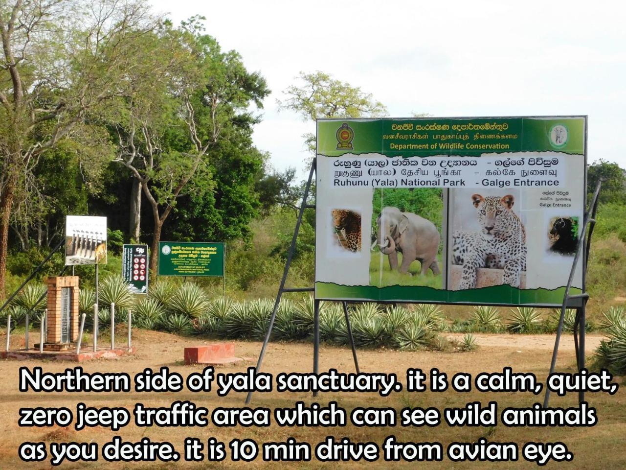 Yala Avian Eye Safari Lägenhet Buttala Exteriör bild